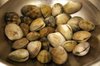 20081101_clam_011